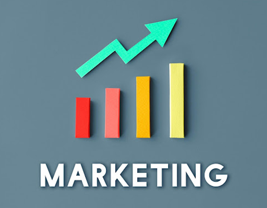 Marketing Trends in Probiotics for Food and Beverage Market