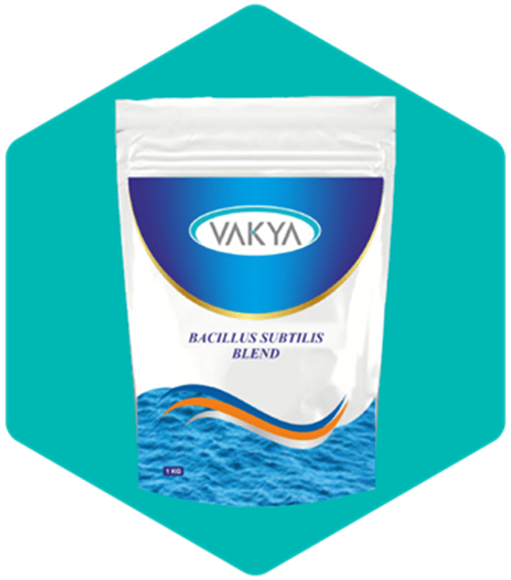 Probiotic Powder Sachets Manufacturer In India