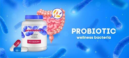 Probiotic Blend Products Exporter In Hyderabad